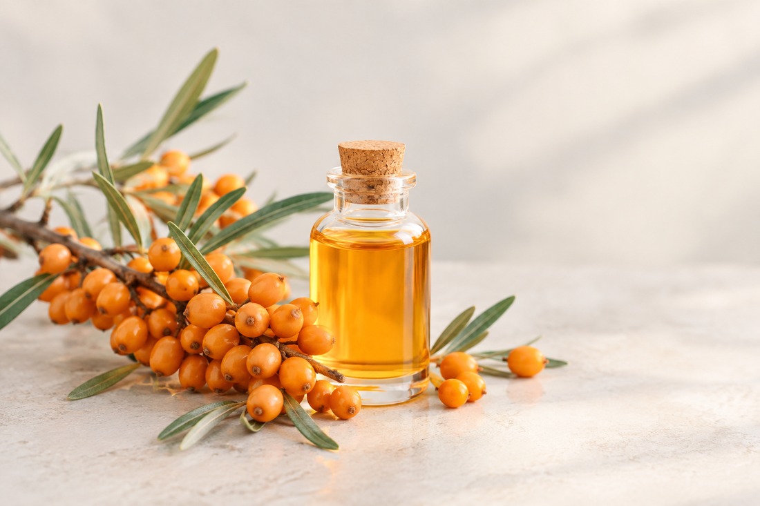Sea Buckthorn Oil: OUR HERO